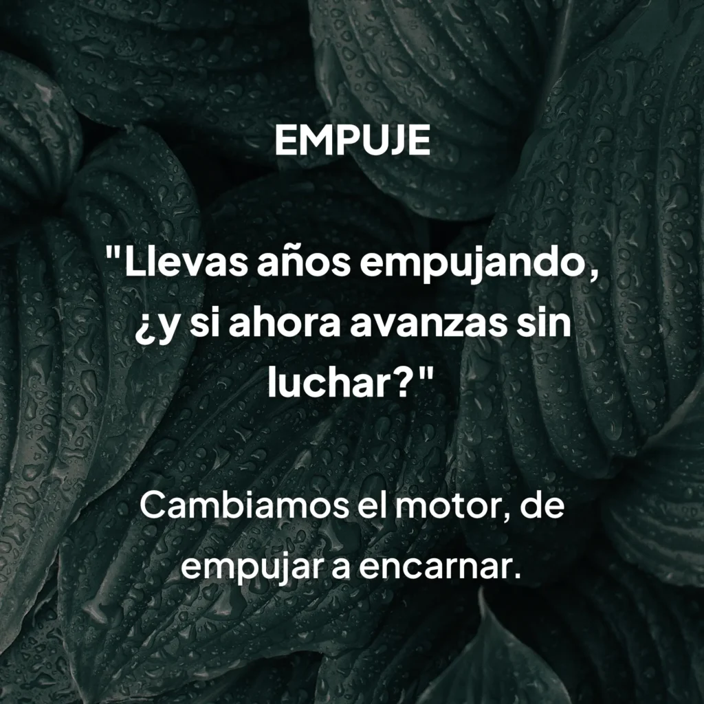 Fondo de hojas verdes oscuras con frase sobre avanzar sin lucha, diseño MUUNNA