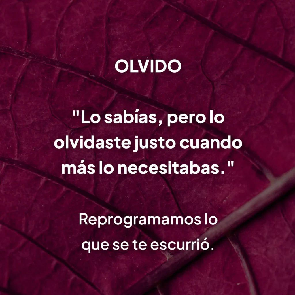 Fondo de hoja burgundi con frase sobre el olvido y reprogramación de creencias, estilo gráfico MUUNNA
