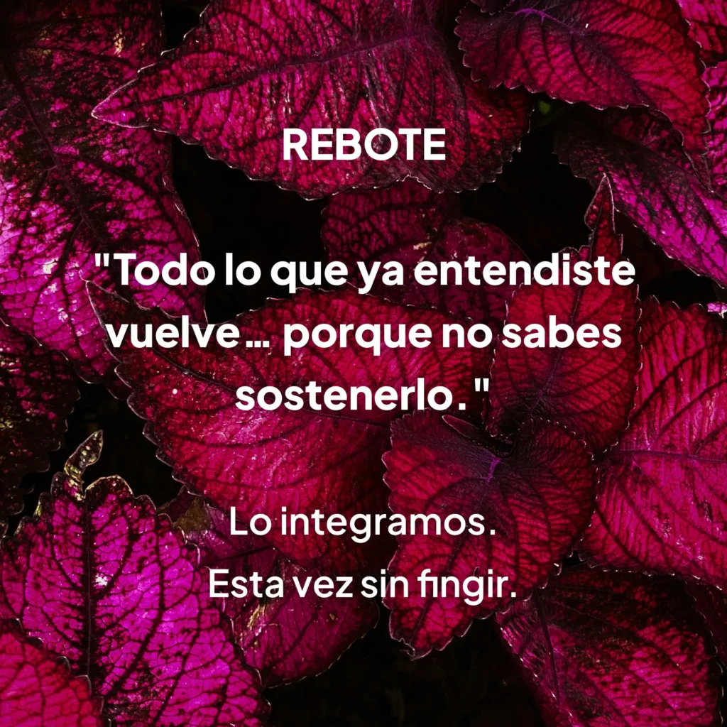 Fondo de hojas fucsia con cita sobre integración y sostenibilidad emocional, estilo MUUNNA